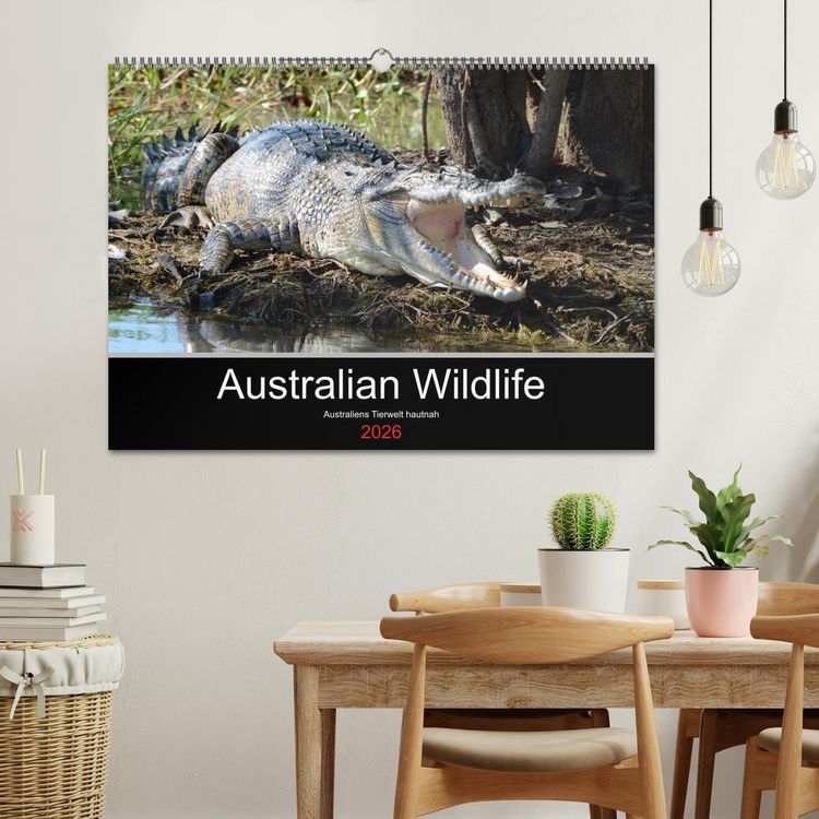 Produktbild: Australian Wildlife (Wandkalender 2026 DIN A2 quer), CALVENDO Monatskalender