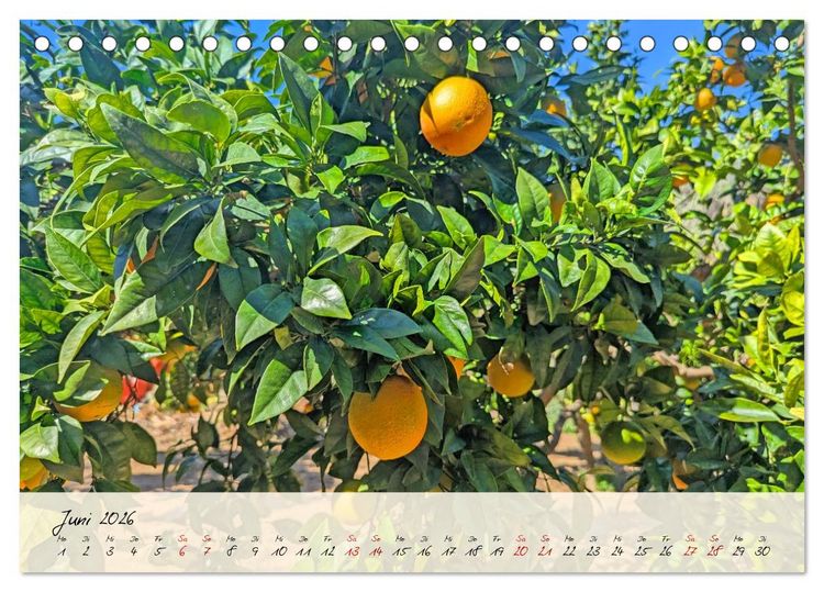 Produktbild: Siziliens Zauber &ndash; Von Palermo bis Taormina (Tischkalender 2026 DIN A5 quer), CALVENDO Monatskalender