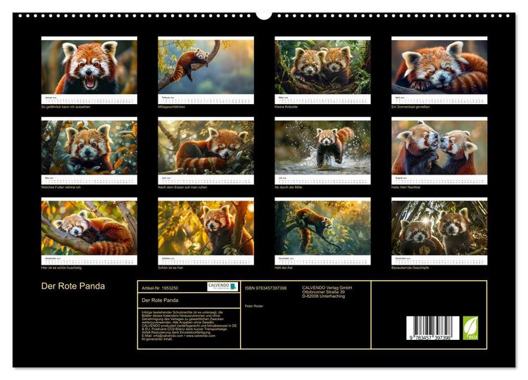 Produktbild: Der Rote Panda (hochwertiger Premium Wandkalender 2026 DIN A2 quer), Kunstdruck in Hochglanz