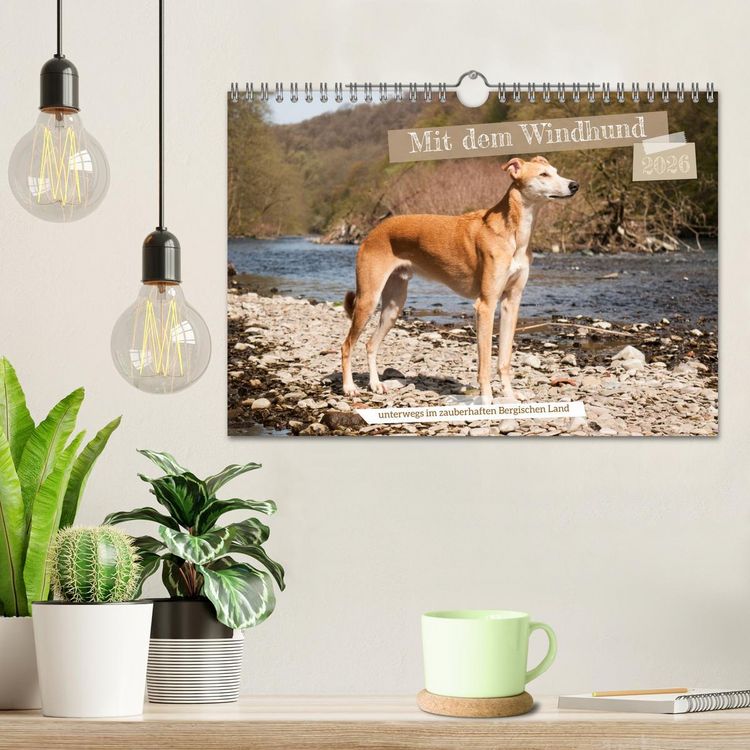 Produktbild: Mit dem Windhund unterwegs im zauberhaften Bergischen Land (Wandkalender 2026 DIN A4 quer), CALVENDO Monatskalender