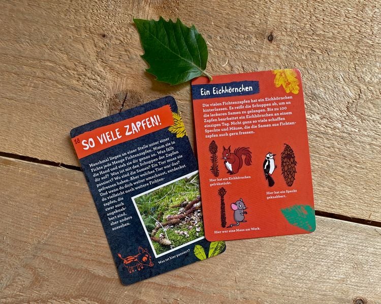 Produktbild: 50 Wald-Abenteuer