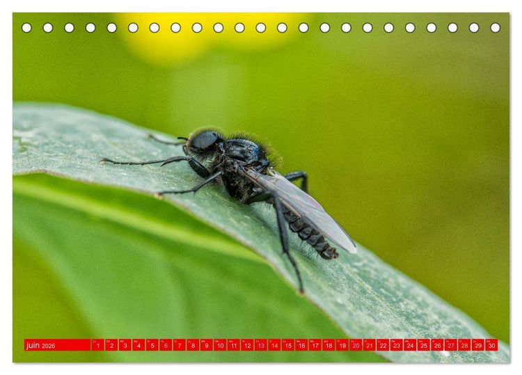 Produktbild: Les gardiens des &eacute;cosyst&egrave;mes (Calendrier de bureau 2026 DIN A5 vertical), CALVENDO calendrier mensuel