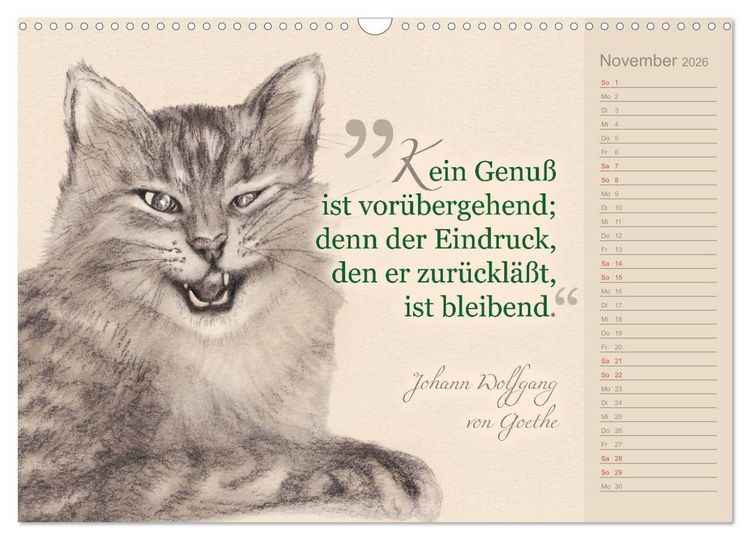 Produktbild: Von Katzen lernen (Wandkalender 2026 DIN A3 quer), CALVENDO Monatskalender