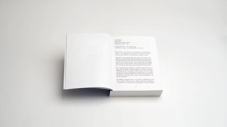 Produktbild: Andr&eacute; Butzer: Pressemitteilungen, Briefe, Gespr&auml;che, Texte, Gedichte
