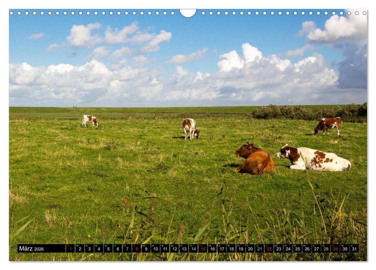 Produktbild: Gr&uuml;&szlig;e von Pellworm (Wandkalender 2026 DIN A3 quer), CALVENDO Monatskalender