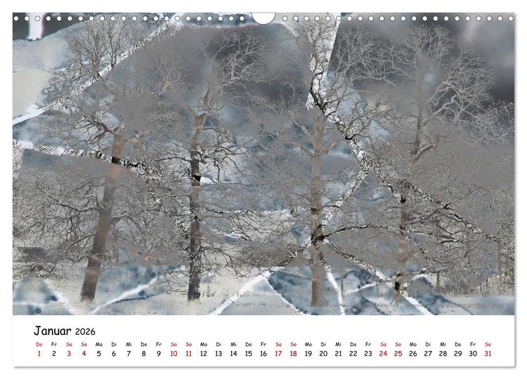 Produktbild: Pinneberger Art (Wandkalender 2026 DIN A3 quer), CALVENDO Monatskalender
