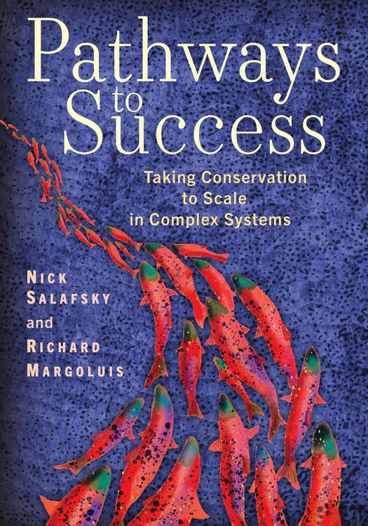 Produktbild: Pathways to Success