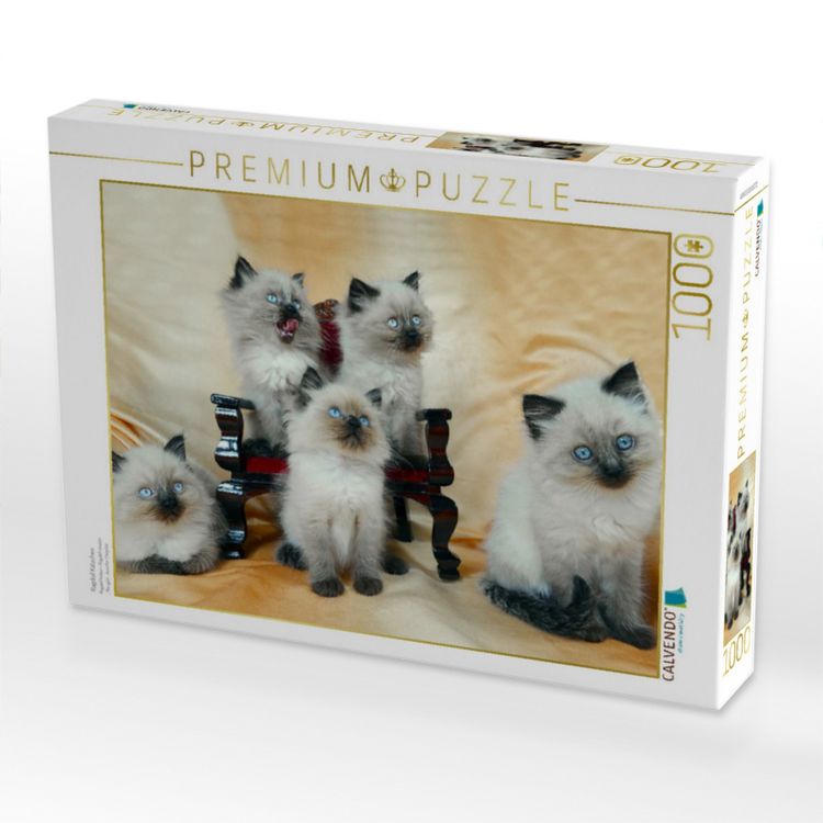 Produktbild: CALVENDO Puzzle Ragdoll K&auml;tzchen | 1000 Teile Lege-Gr&ouml;&szlig;e 64x48cm Foto-Puzzle f&uuml;r gl&uuml;ckliche Stunden