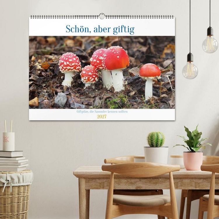Produktbild: Sch&ouml;n, aber giftig. Giftpilze, die Sammler kennen sollten. (Wandkalender 2027 DIN A2 quer), CALVENDO Monatskalender