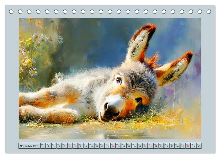 Produktbild: Zwergesel. Kleine Langohren mit gro&szlig;em Charme (Tischkalender 2027 DIN A5 quer), CALVENDO Monatskalender