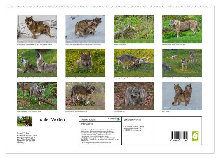 Produktbild: unter W&ouml;lfen (hochwertiger Premium Wandkalender 2026 DIN A2 quer), Kunstdruck in Hochglanz