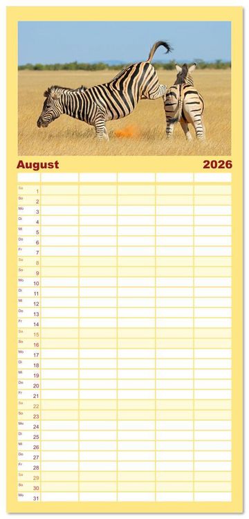 Produktbild: Familienplaner 2026 - Zebras - Die gestreiften Vierbeiner. mit 5 Spalten (Wandkalender, 21 x 45 cm) CALVENDO