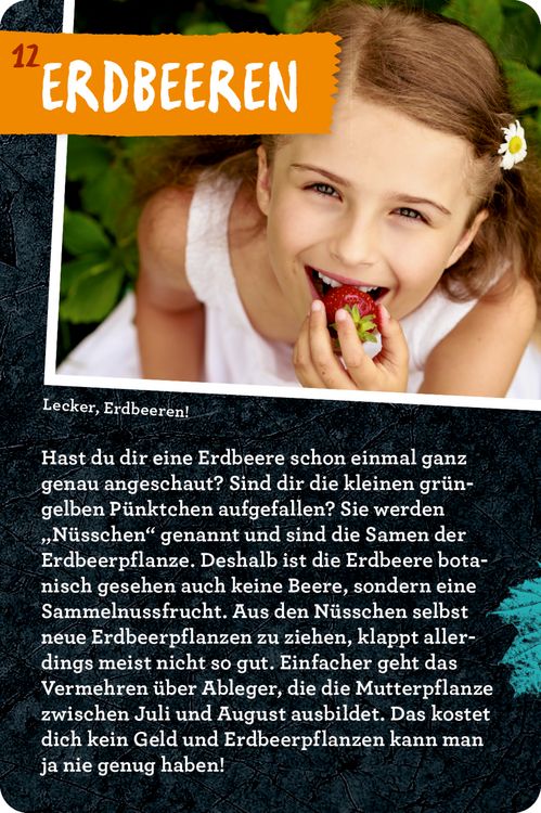 Produktbild: 50 Garten-Projekte - Nature Zoom (Blechdose)
