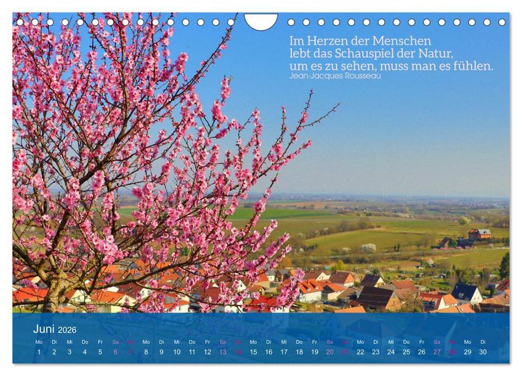 Produktbild: FASZINATION MANDELBL&Uuml;TE (Wandkalender 2026 DIN A4 quer), CALVENDO Monatskalender