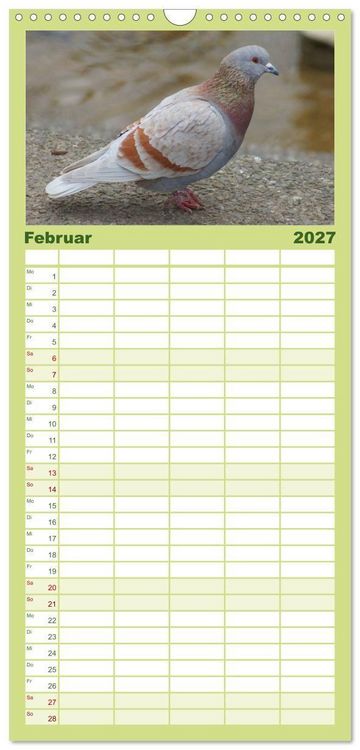 Produktbild: Familienplaner 2027 - Tauben in der Stadt mit 5 Spalten (Wandkalender, 21 x 45 cm) CALVENDO