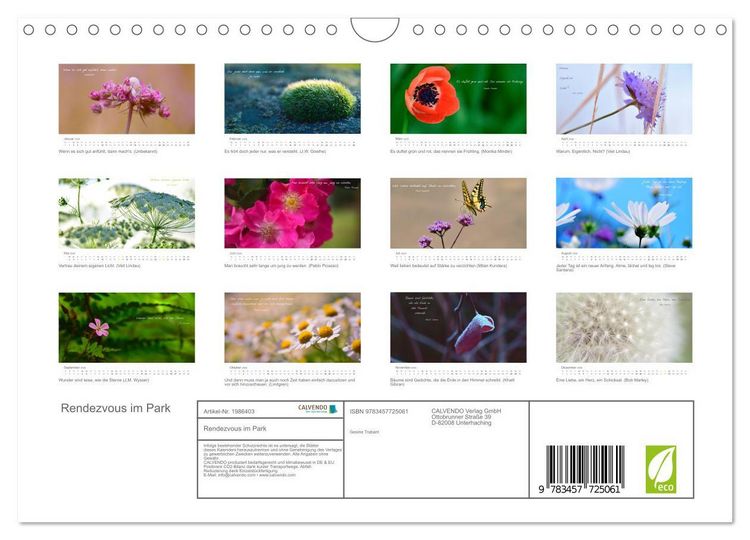 Produktbild: Rendezvous im Park (Wandkalender 2026 DIN A4 quer), CALVENDO Monatskalender