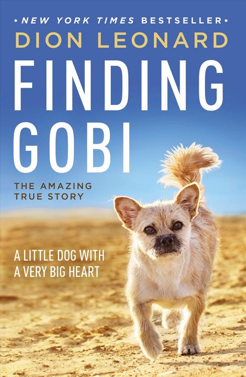 Produktbild: Finding Gobi