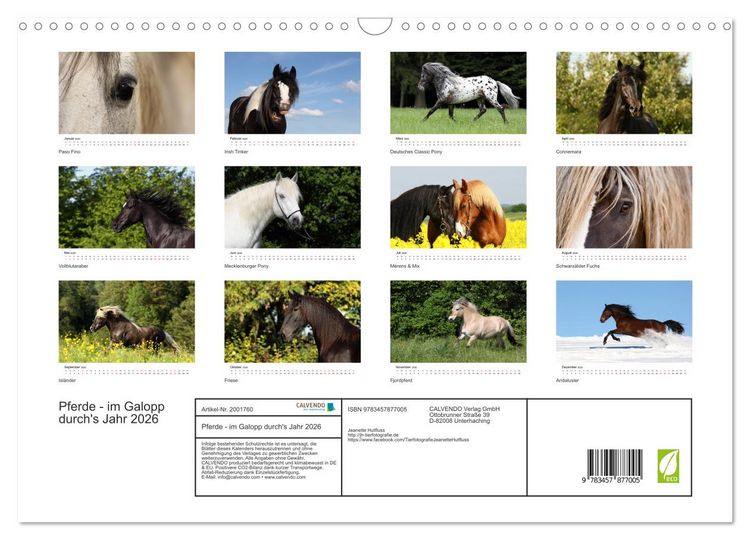 Produktbild: Pferde - im Galopp durch's Jahr 2026 (Wandkalender 2026 DIN A3 quer), CALVENDO Monatskalender