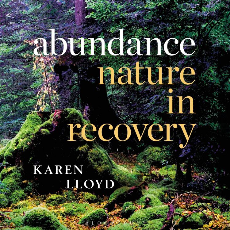 Produktbild: Abundance