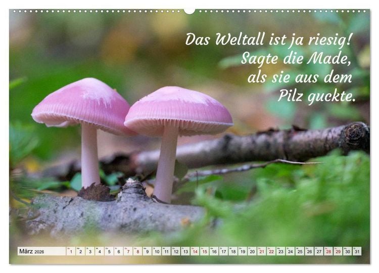 Produktbild: Junge, was hast du`s eilig (Wandkalender 2026 DIN A2 quer), CALVENDO Monatskalender