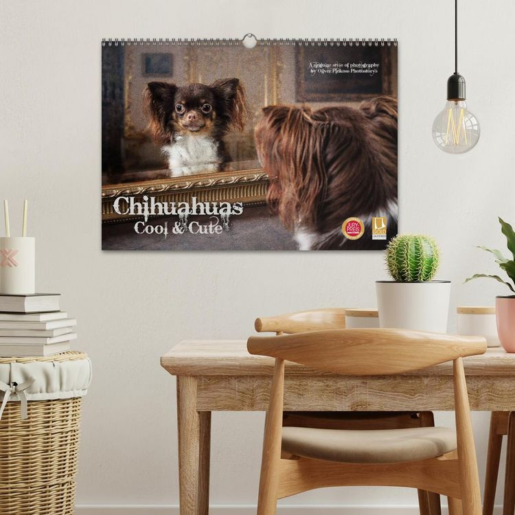 Produktbild: Chihuahuas - Cool and Cute (Wandkalender 2026 DIN A3 quer), CALVENDO Monatskalender
