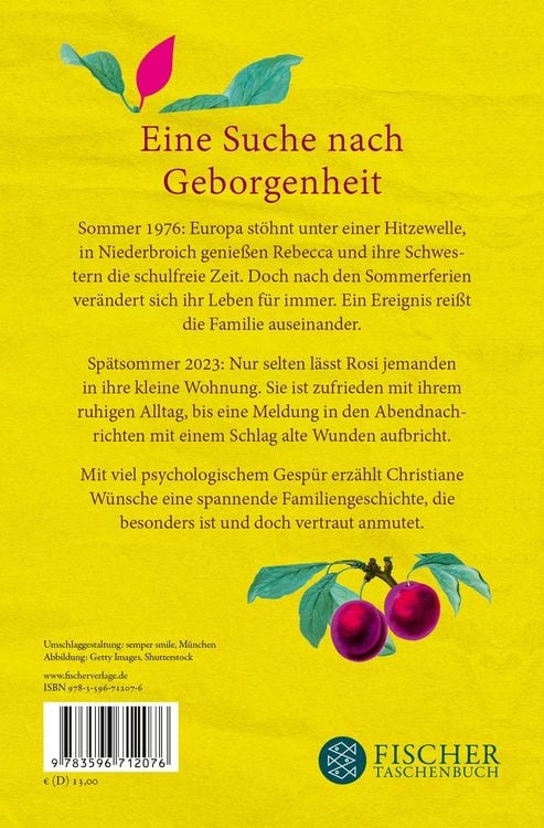 Produktbild: Schwestern in einem anderen Leben