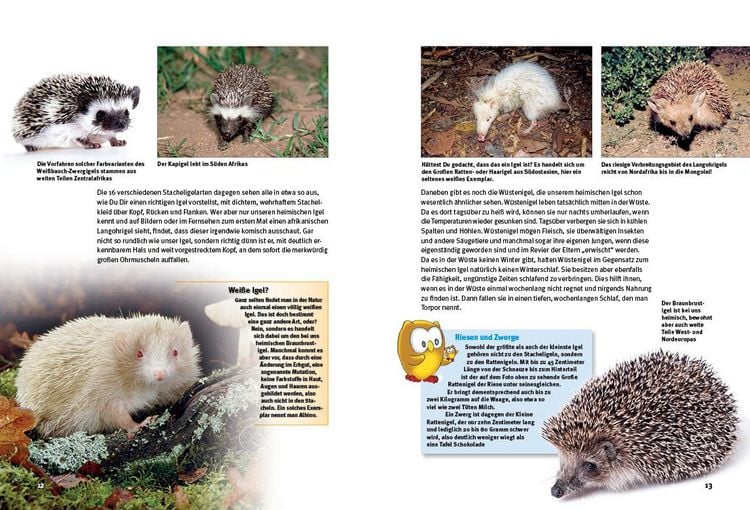 Produktbild: Entdecke die Igel