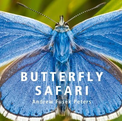 Produktbild: Butterfly Safari