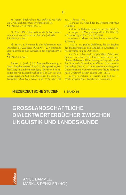 Produktbild: Gro&szlig;landschaftliche Dialektw&ouml;rterb&uuml;cher zwischen Linguistik und Landeskunde