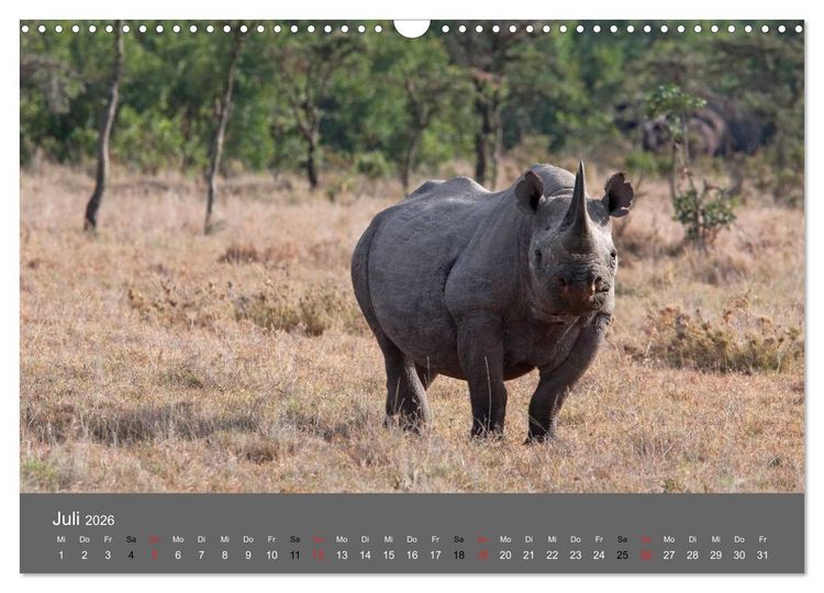 Produktbild: Ich tr&auml;umte von Afrika (Wandkalender 2026 DIN A3 quer), CALVENDO Monatskalender
