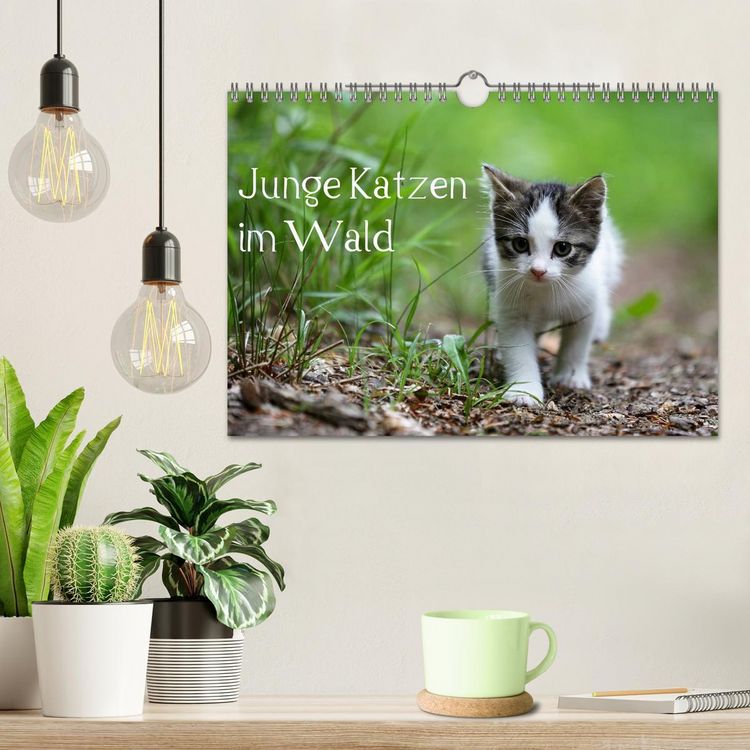 Produktbild: Junge Katzen im Wald (Wandkalender 2026 DIN A4 quer), CALVENDO Monatskalender