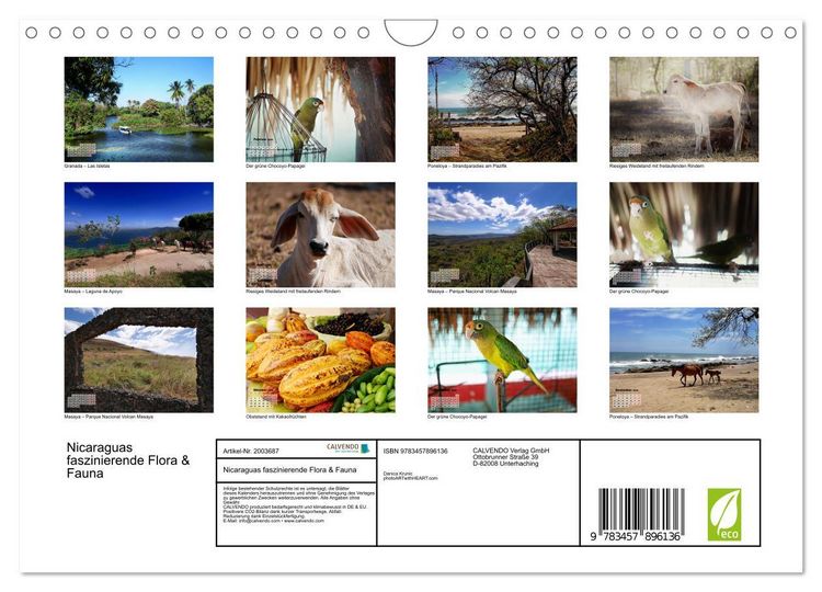 Produktbild: Nicaraguas faszinierende Flora & Fauna (Wandkalender 2026 DIN A4 quer), CALVENDO Monatskalender