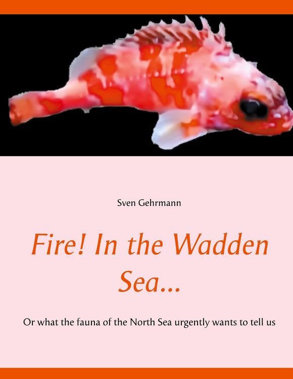 Produktbild: Fire! In the Wadden Sea...