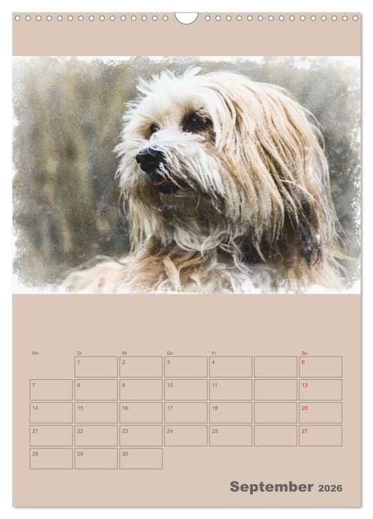 Produktbild: Hunde in Aquarell - Jahresplaner (Wandkalender 2026 DIN A3 hoch), CALVENDO Monatskalender