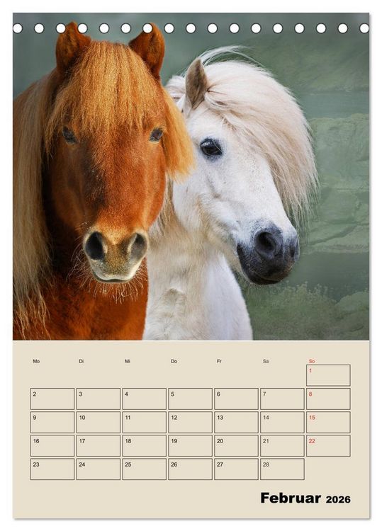 Produktbild: Pferdetr&auml;umereien - Traumbilder von Traumpferden (Tischkalender 2026 DIN A5 hoch), CALVENDO Monatskalender