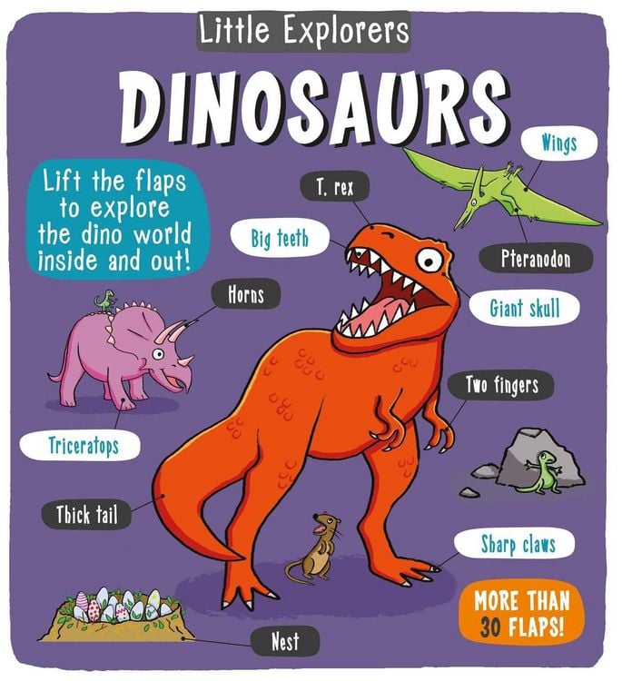 Produktbild: Little Explorers: Dinosaurs