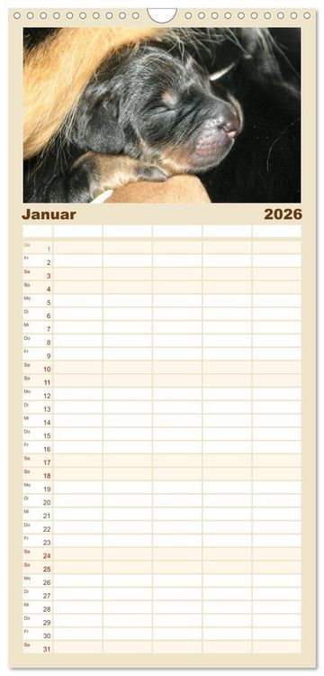Produktbild: Familienplaner 2026 - Hovawarte - einmal anders mit 5 Spalten (Wandkalender, 21 x 45 cm) CALVENDO