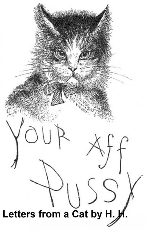 Produktbild: Letters from a Cat