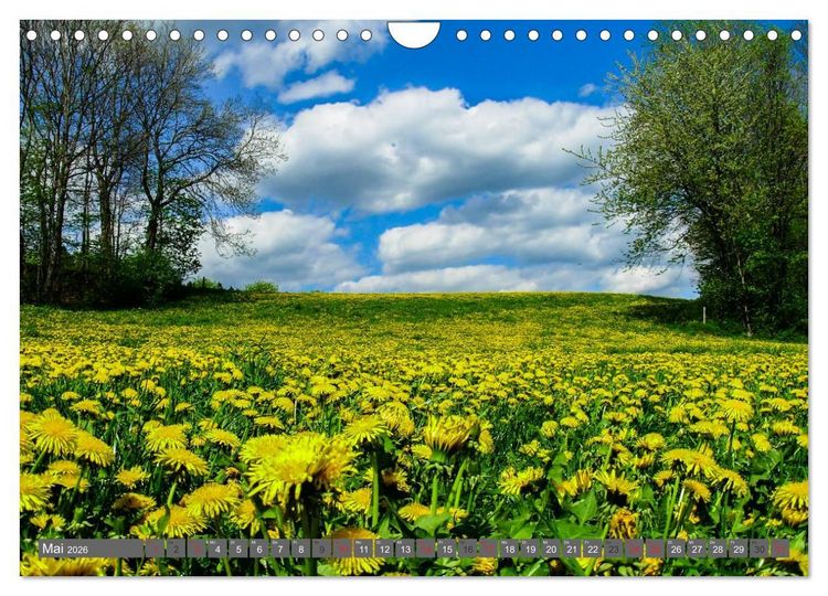 Produktbild: Die sch&ouml;nsten Pl&auml;tze der Welt (Wandkalender 2026 DIN A4 quer), CALVENDO Monatskalender