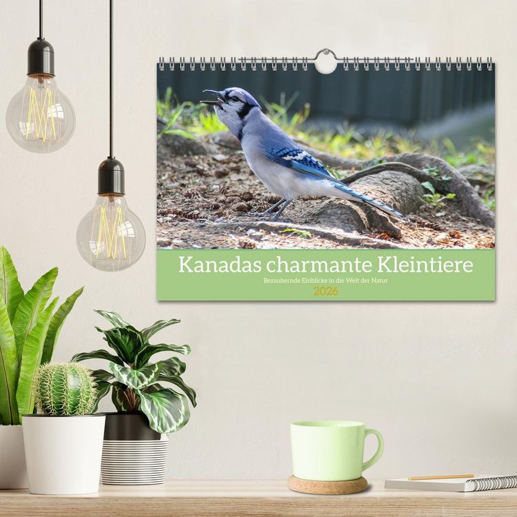 Produktbild: Kanadas charmante Kleintiere - Bezaubernde Einblicke in die Natur (Wandkalender 2026 DIN A4 quer), CALVENDO Monatskalender