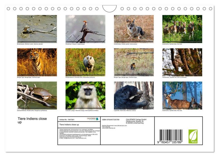 Produktbild: Tiere Indiens close up (Wandkalender 2026 DIN A4 quer), CALVENDO Monatskalender