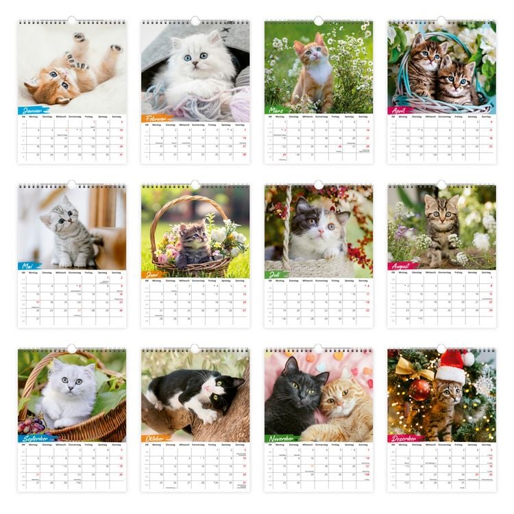 Produktbild: TR&Ouml;TSCH - Notizkalender zum H&auml;ngen Katzen 2027