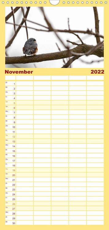 Produktbild: Familienplaner Gartenv&ouml;gel (Wandkalender 2022 , 21 cm x 45 cm, hoch)