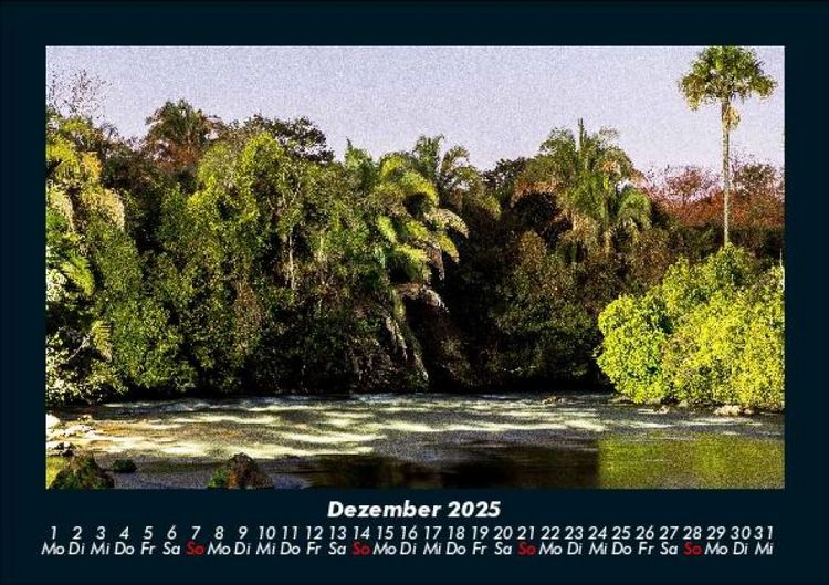 Produktbild: Blick in die Natur 2025 Fotokalender DIN A5