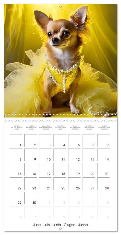Produktbild: Grand Divas of the Dog World (Wall Calendar 2026 12 &times; 12 Inch) CALVENDO 12 Month Wall Calendar