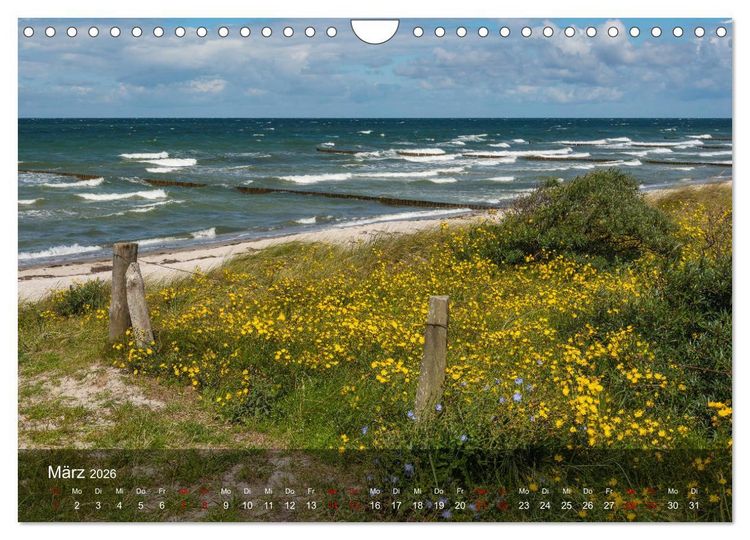 Produktbild: Insel Hiddensee - Wildromantisch unber&uuml;hrt (Wandkalender 2026 DIN A4 quer), CALVENDO Monatskalender