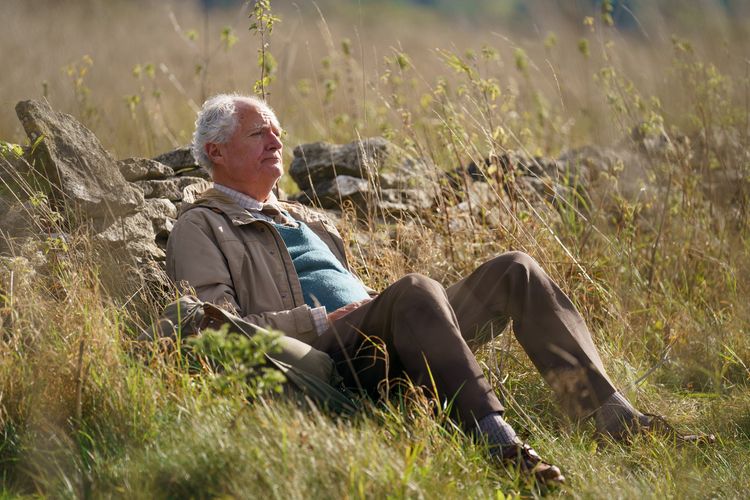 Produktbild: Die unwahrscheinliche Pilgerreise des Harold Fry
