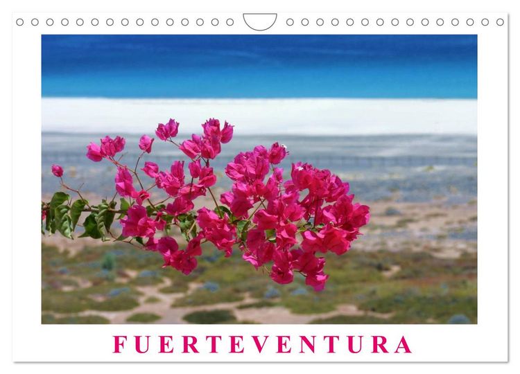Produktbild: Fuerteventura (Wandkalender 2026 DIN A4 quer), CALVENDO Monatskalender