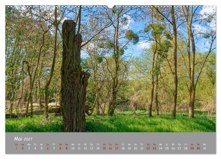Produktbild: Biosph&auml;renreservat Schorfhede-Chorin (Wandkalender 2027 DIN A2 quer), CALVENDO Monatskalender