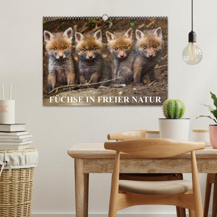 Produktbild: F&uuml;chse in freier Natur (Wandkalender 2026 DIN A3 quer), CALVENDO Monatskalender